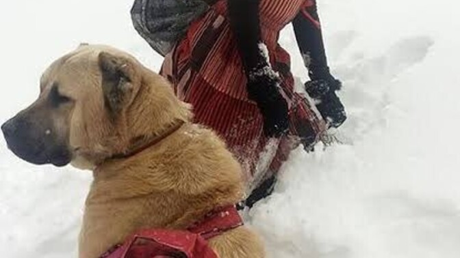 Fotoğrafa bir cümle ya da  soru bırak?