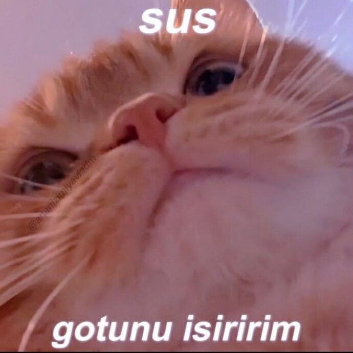 Aklının takılı kaldığı o kişiyle bir gün bir yerde karşılaşsan, gözlerinin içine bakıp söyleyeceğin ilk cümle ne olurdu?