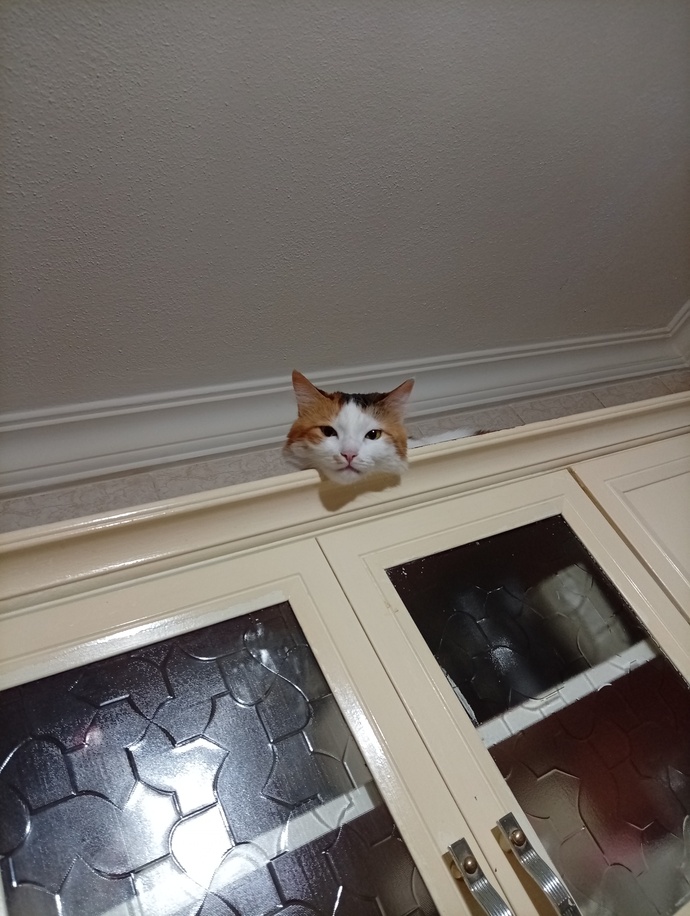 Şu rahatlığı ben yaşayamadım bu kızı gördükçe deli oluyorum 😂?