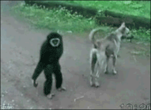 Sizden en fazla kaç yaş büyük biriyle sevgili olursunuz?