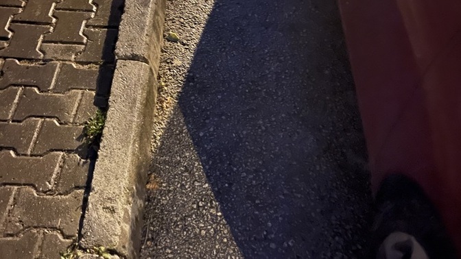 Erkekler bi bakın sizce bu park anormal mi?