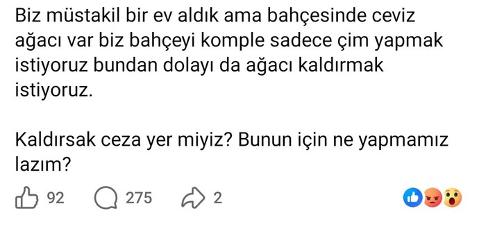 Güne neyle başladınız?