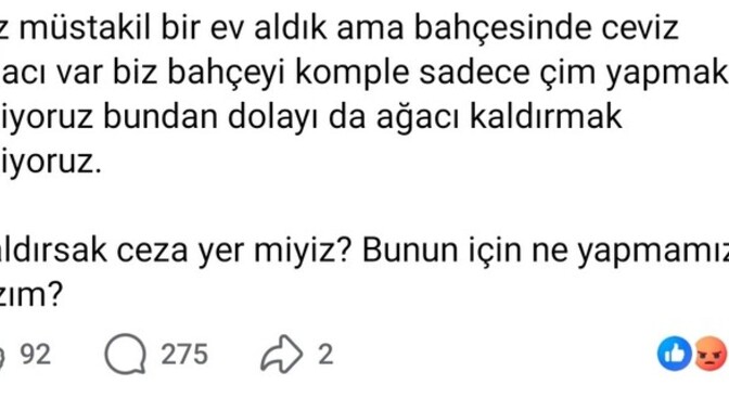 Güne neyle başladınız?