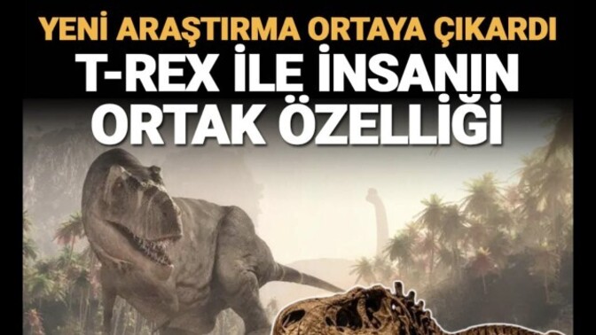 Bir hayvanla ortak özelliğiniz var mı?