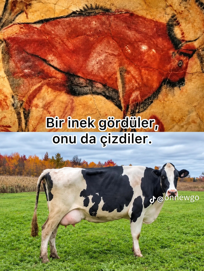 Uzaylılar gerçekten var mı, evrende yalnız olma ihtimalimiz nedir?