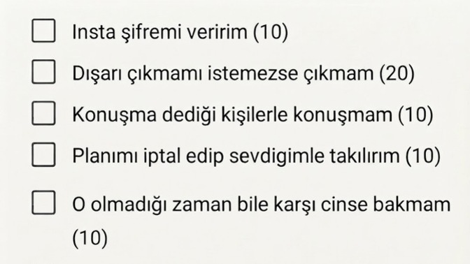 Ne kadar hanımcı/kocacısınız?