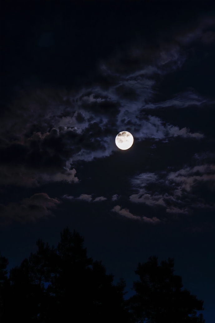 Geceye son sözüm. Aşağıya yazdım. Sizin son sözünüz nedir geceye 🌚🌒?