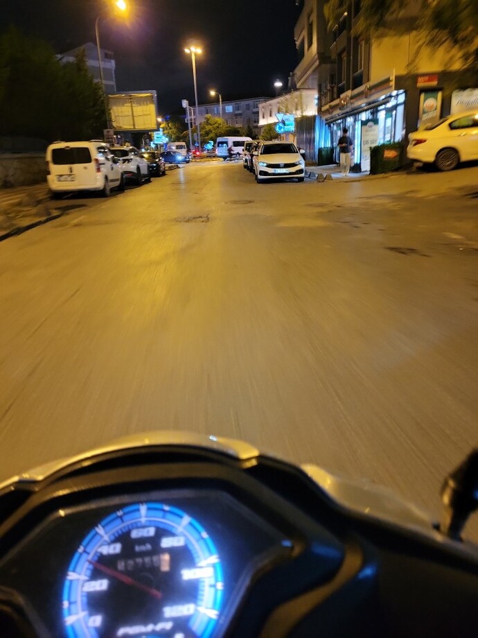 Evcil hayvan kaybolunca ne yapmalı, bu kalp krizi hissiyle nasıl başa çıkmalı?