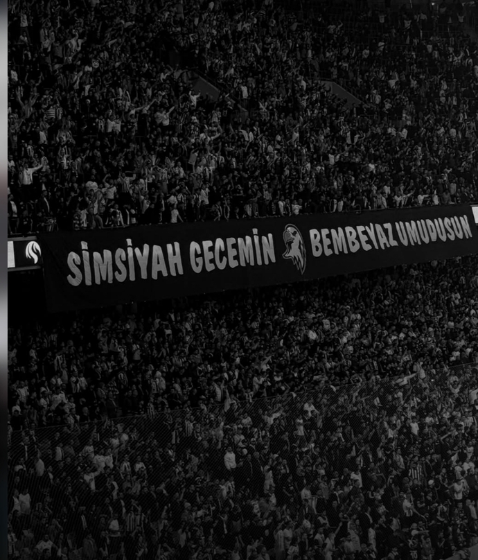 Beşiktaşı nasıl buluyorsunuz?