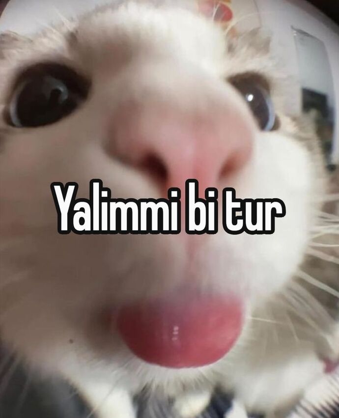Kendime ipek kirpik yaptim yakismis mi?
