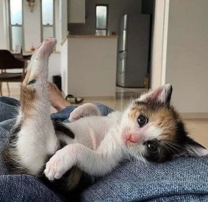 Herkesin beklediği biri var