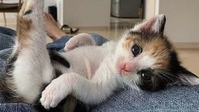 Dönmesini beklediğiniz biri var mı?