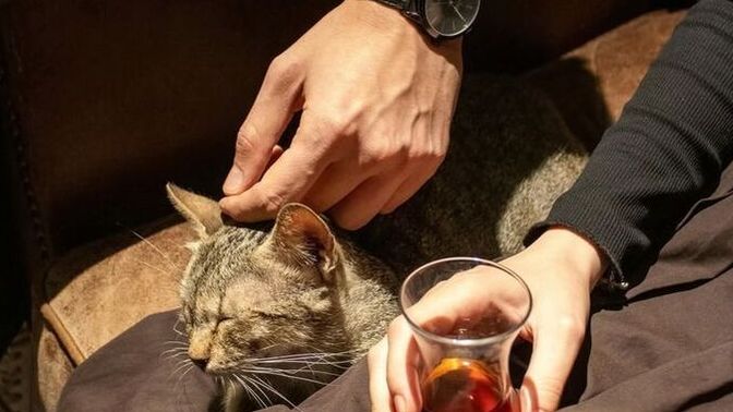 Sevdiğiniz insanın sizi sevmesi mi, size iyi gelmesi mi daha önemli?