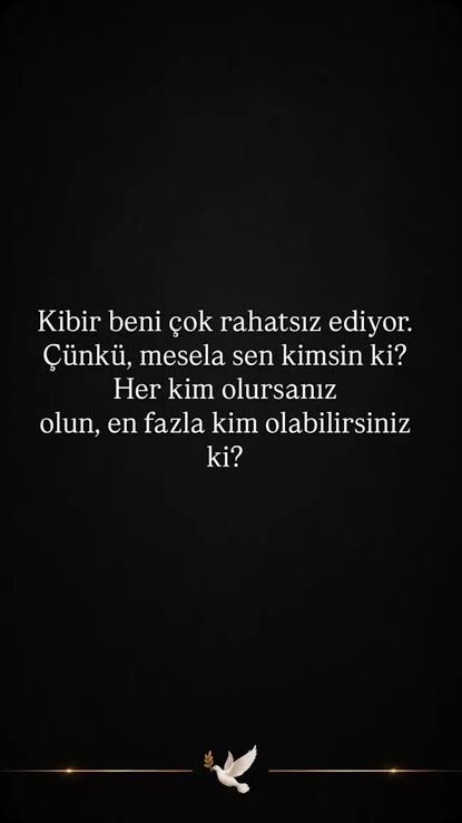 Kendimi herkesten üstün görüyorum?