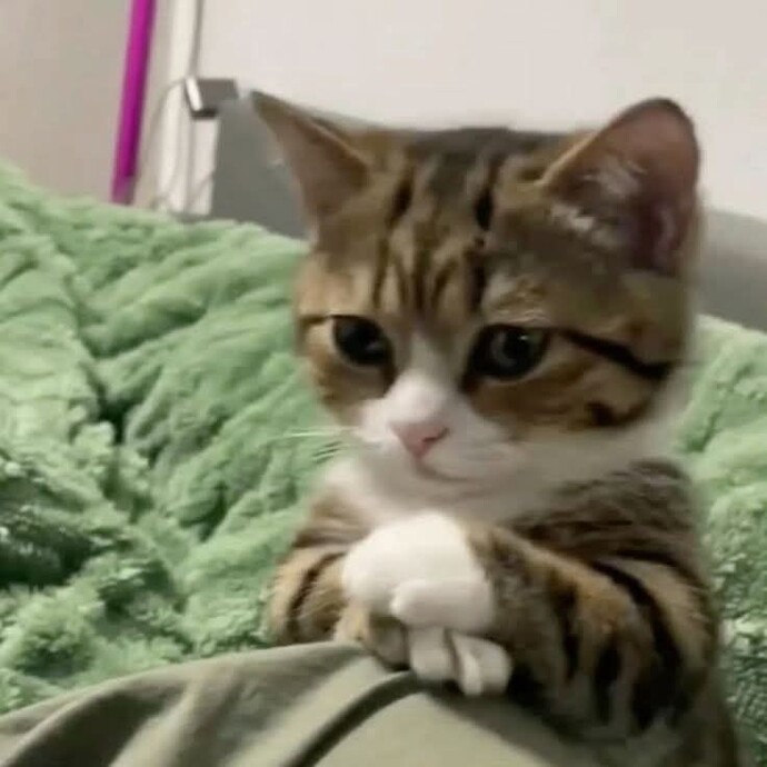 Sabahları nasıl birisin?