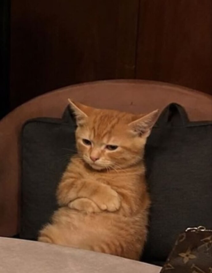 Naber napıyorsunuz?