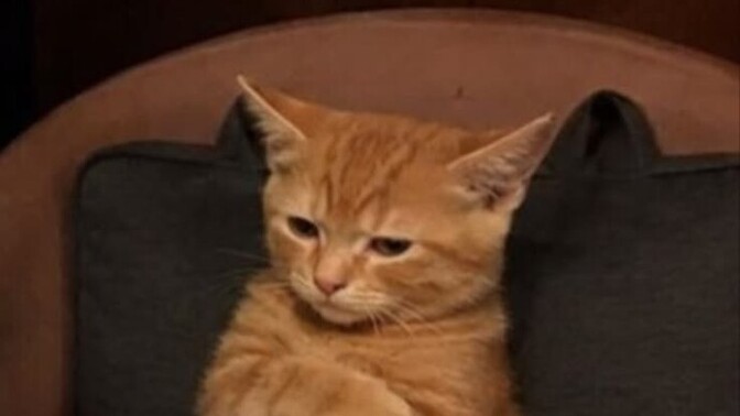 Naber napıyorsunuz?