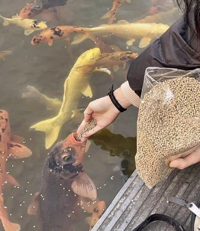 Arkasından konuştuğunuz insanın yüzüne nasıl gülebiliyorsunuz :D?