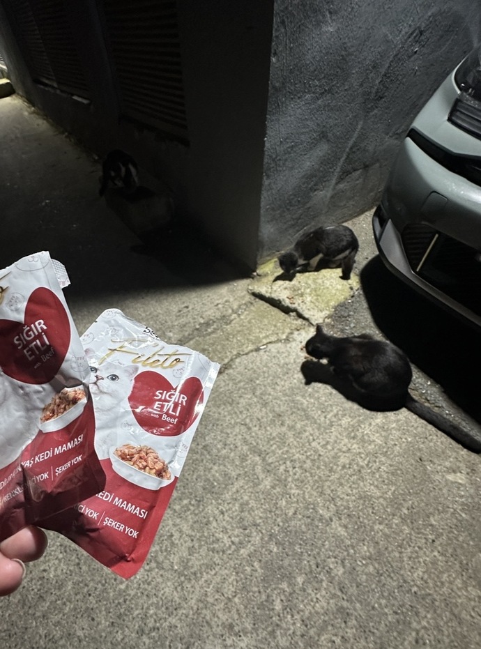 Peşini bırakmayan biri var mı?