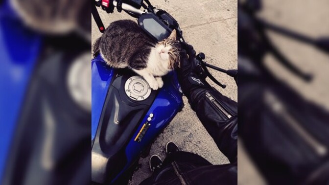 Peşini bırakmayan biri var mı?