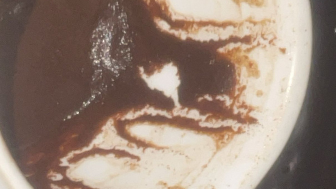 Aşk hayatımla ilgili falıma bakar mısınız, gelecekte neler olacak?