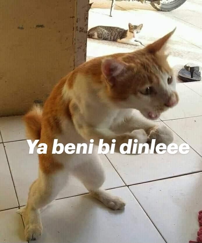 Kavunun bütün çekirdekleri ortada toplanmışken karpuz acaba neyi anlamadı🤣?