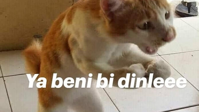 Kavunun bütün çekirdekleri ortada toplanmışken karpuz acaba neyi anlamadı🤣?