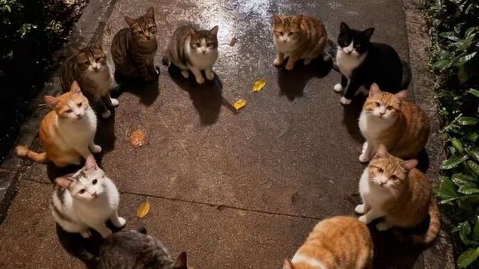 Aşksız olmaz mı?
