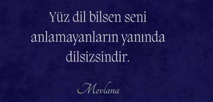 Çevrenizde bişey anlatırken anlamamakta ısrar edip size canım gibi hisettirenler var mı?