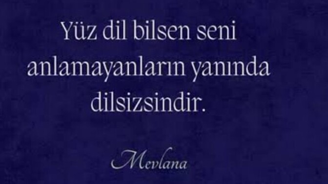 Çevrenizde bişey anlatırken anlamamakta ısrar edip size canım gibi hisettirenler var mı?