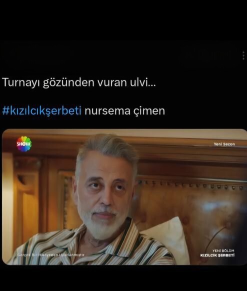 Kızılcık Şerbetindeki Ulvi bey bile zengin kadını buldu. Siz ne durumdasınız?