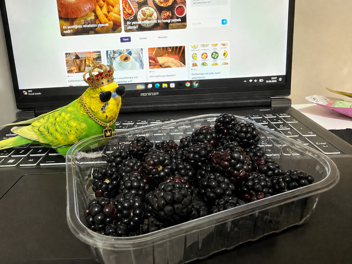Herkese benden mormorik😋 Böğürtlen sever misin?