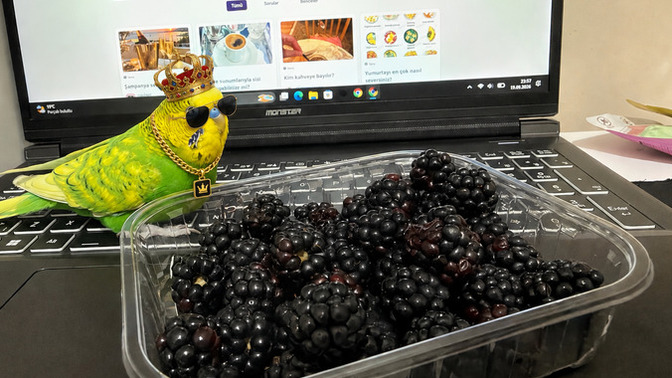 Herkese benden mormorik😋 Böğürtlen sever misin?