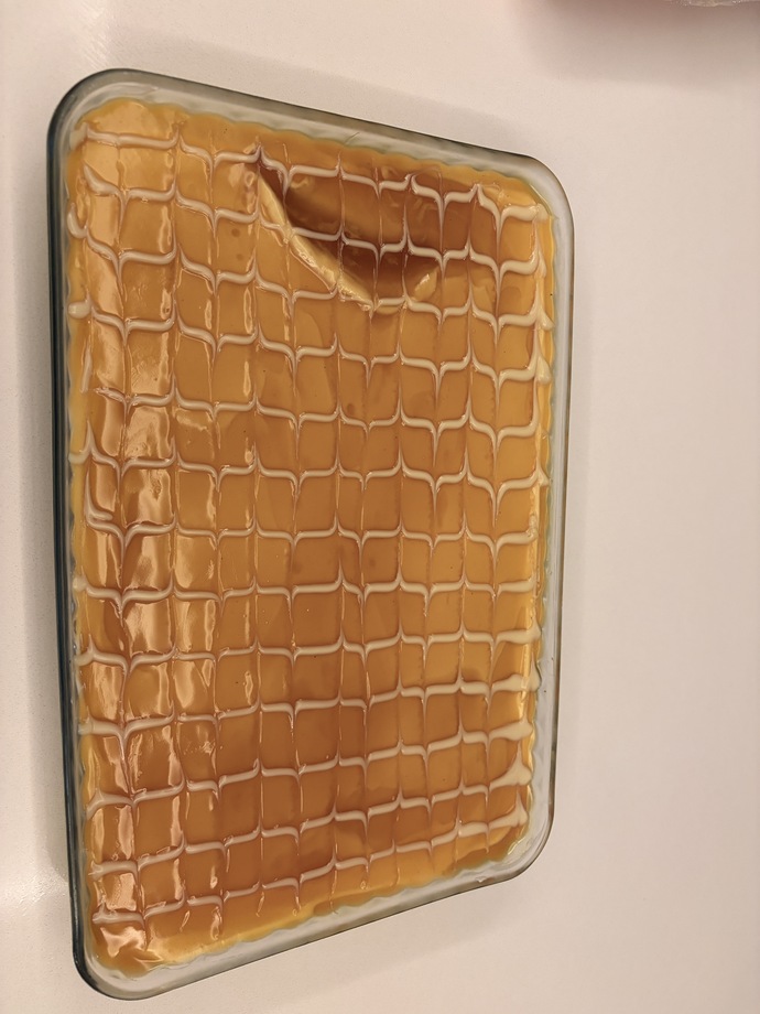 Traliçe sever misiniz KS üyeleri?