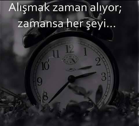 Neye çok alıştınız?