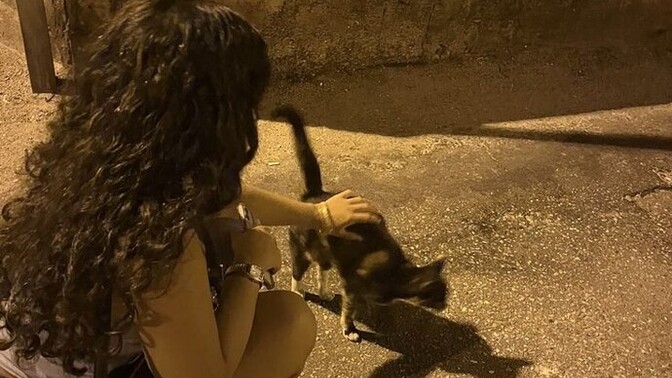 Cok sıkıldım, evde yapacak eğlenceli şeyler ve aktivite önerileri var mı?