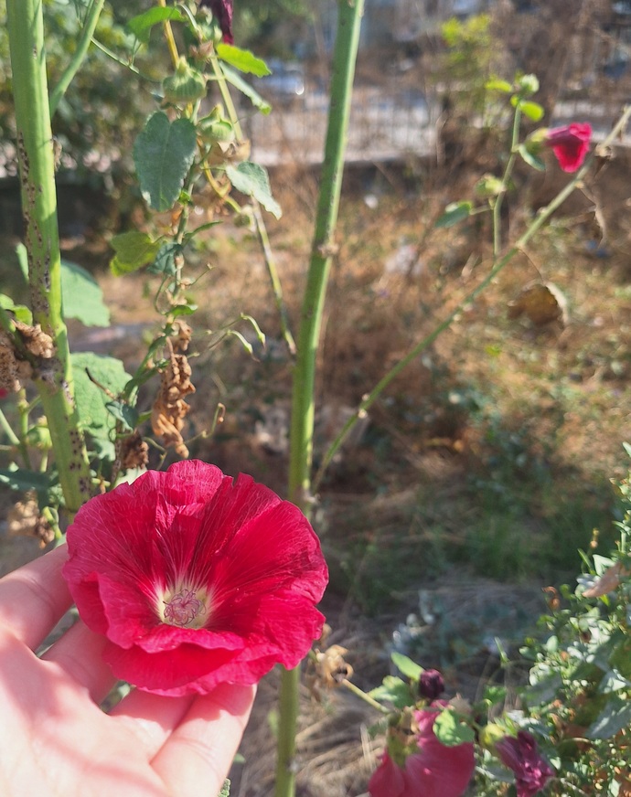 Bugün aldatıldığımı öğrendim hemen ilgi verebilir misiniz acil?