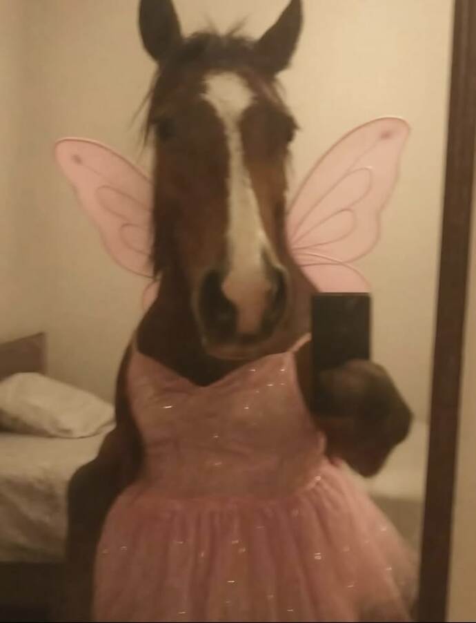 Sizi özel yapan yönünüz ne?