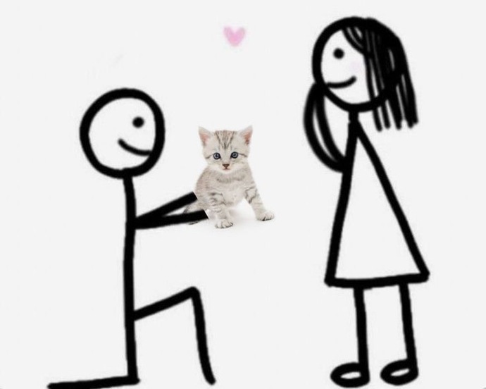 Sevgiliniz size hediye olarak kedi alsa mutlu olur muydunuz?