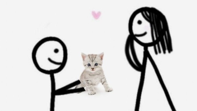 Sevgiliniz size hediye olarak kedi alsa mutlu olur muydunuz?
