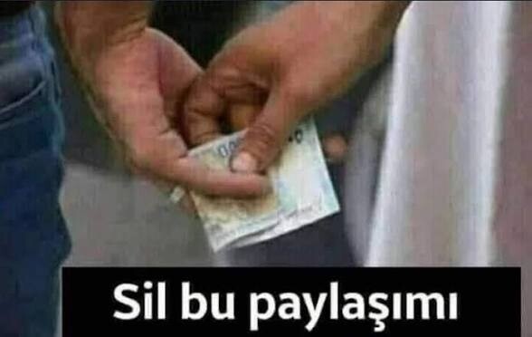 İneklerin cinsiyeti nasıl öğrenilir?