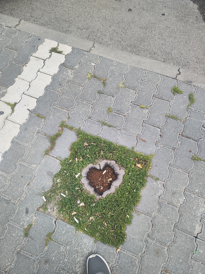 Erkekler gerçekten odun mu, yoksa bu tamamen kadınların uydurduğu bir ilişki efsanesi mi?