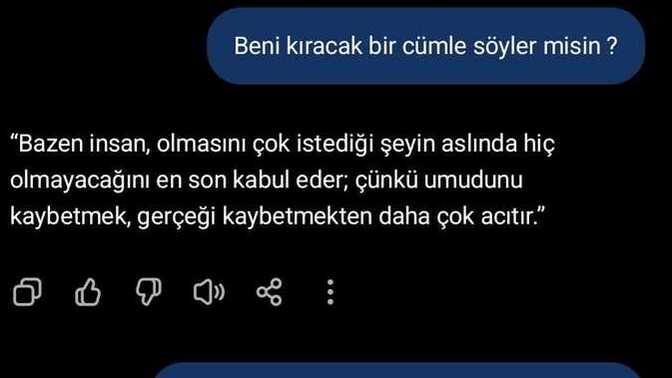 Yapay zekâya *beni kıracak bir cümle söyle’ deseniz, sizin hakkınızda ne söylerdi?