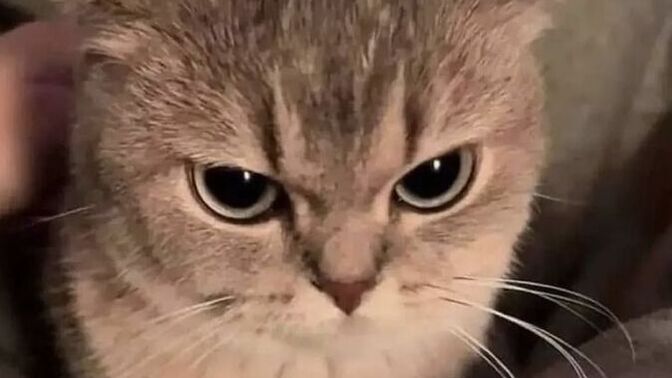 Kin tutan biri misin?