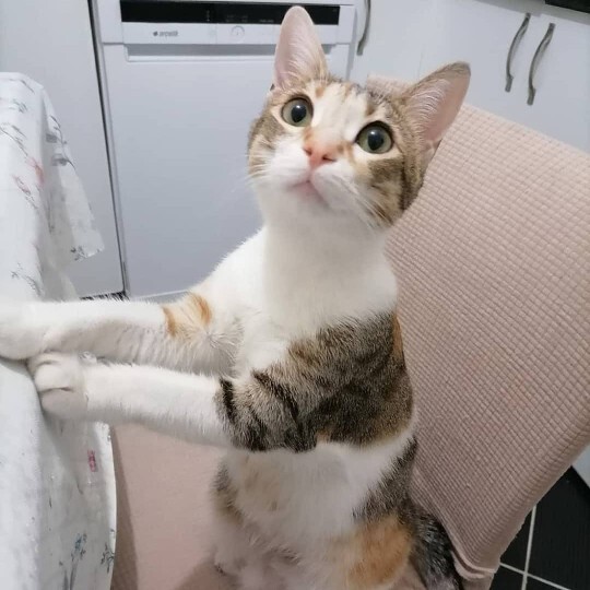 İnternette en çok neye bakıyorsunuz, siz en çok hangi içeriklere takılıyorsunuz?