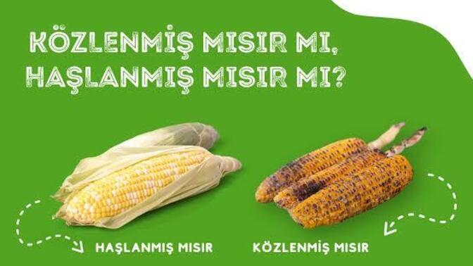 Közlenmiş mısır mı haşlanmış mısır mı?