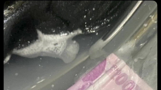 Çamaşır makinesinin durdurma butonunu kullanıyor musunuz şu durum için?
