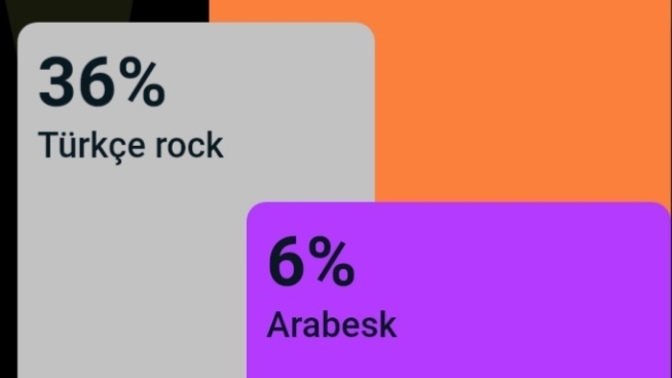 Hangi müzik türlerini dinlemeyi daha çok seviyorsun?