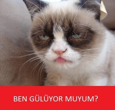 Gece vardiyasında çocukla geçen “koş koş” diyaloğu sizce komik mi olmuş?