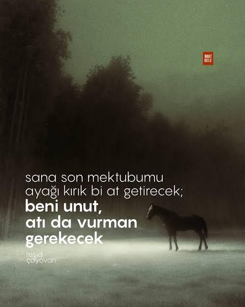 Sizi en çok etkileyen, unutamadığınız şiir dizeleri veya sizi anlatan sözler neler?